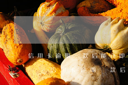 信用卡逾期還款后能立即提現(xiàn)嗎-信用卡逾期還款后能立即提現(xiàn)嗎