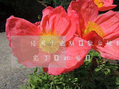 信用卡逾期還款后被封(我信用卡逾期凍了還完了,還此用嗎)