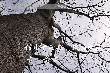 信用卡逾期還款后被注銷6(逾期停用的信用卡還能恢復嗎)