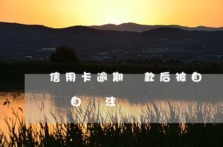 信用卡逾期還款后被自動注銷(過期的信用卡會自動注銷嗎)