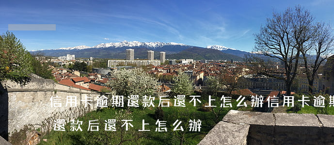 信用卡逾期還款后還不上怎么辦(信用卡逾期還款后還不上怎么辦)