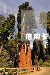 信用卡逾期還款后還刷嗎(信用卡逾期還完)