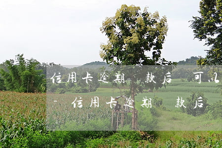 信用卡逾期還款后還可以繼續(xù)用嗎-信用卡逾期還款后還可以繼續(xù)用嗎安全嗎