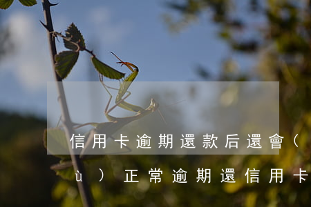 信用卡逾期還款后還會(huì)恢復(fù)正常 逾期還信用卡的后果