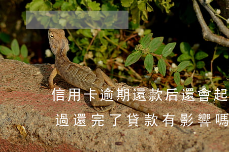 信用卡逾期還款后還會起訴嗎 我信用卡逾期過還完了貸款有影響嗎