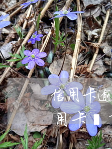 信用卡逾期還款后還能套出來嗎-逾期了信用卡還了還能套現(xiàn)嗎?