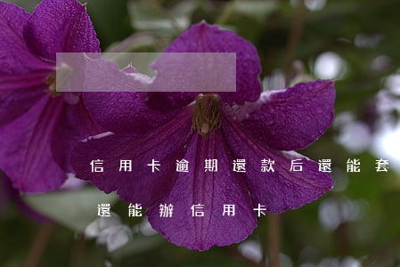 信用卡逾期還款后還能套出來嗎-逾期過后還能辦信用卡