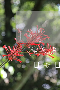 信用卡逾期還款后還能用么(逾期的信用卡還進去還能用嗎)