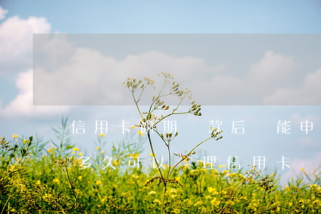 信用卡逾期還款后還能申請嗎6(逾期還款后多久可以辦理信用卡)