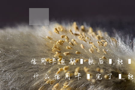 信用卡逾期還款后還能繼續(xù)用嗎(為什么信用卡還完了還能繼續(xù)還)