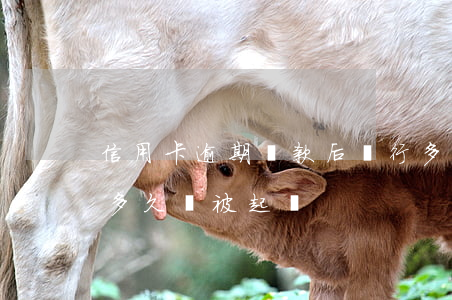 信用卡逾期還款后銀行多久起訴(“信用卡逾期多久會被起訴”)