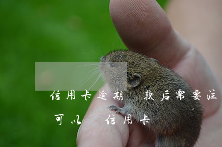 信用卡逾期還款后需要注銷嗎(有逾期已還清可以辦信用卡嗎)