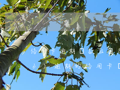 信用卡逾期還款后額度可以用嗎 有過(guò)逾期的信用卡還能提額度嗎