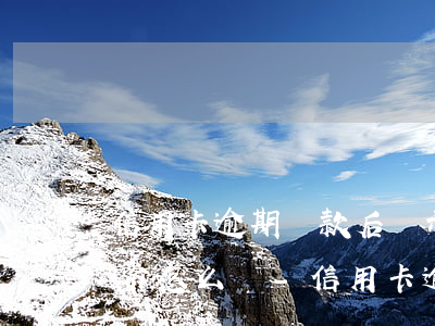 信用卡逾期還款后顯示卡狀態(tài)異常怎么辦-信用卡逾期還款后顯示卡狀態(tài)異常怎么辦呢