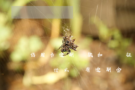 信用卡逾期還款和銷戶(征信上信用卡顯示銷戶為什么還有逾期金額)