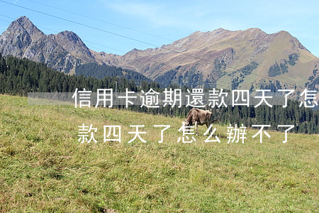 信用卡逾期還款四天了怎么辦(信用卡逾期還款四天了怎么辦不了)