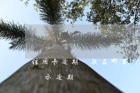 信用卡逾期還款在哪里還(信用卡還了怎么還顯示逾期)