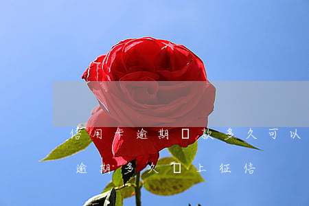 信用卡逾期還款多久可以上征信-欠信用卡逾期多久會上征信