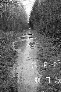 信用卡逾期還款多久可以刷卡還款（信用卡逾期還款多久可以刷卡）