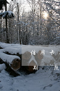 信用卡逾期還款多久才會被起訴-信用卡逾期還款多久才會被起訴