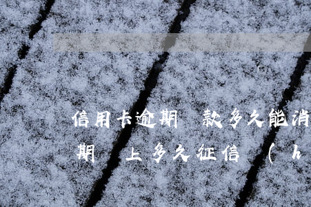 信用卡逾期還款多久能消除記錄(把信用卡逾期還上多久征信會(huì)消除)