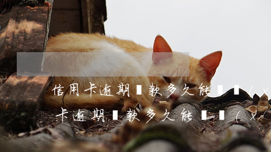 信用卡逾期還款多久能繼續(xù)刷(信用卡逾期還款多久能繼續(xù)刷信用卡)