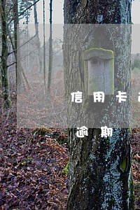 信用卡逾期還款多少天才會上征信-信用卡逾期還款多少天才會上征信報告