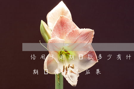 信用卡逾期還款多少有什么影響(還信用卡逾期會有什么后果)