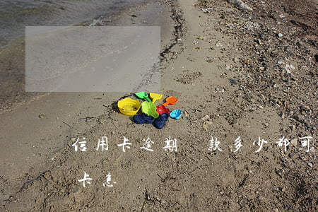 信用卡逾期還款多少都可以(逾期幾年的信用卡怎樣還)