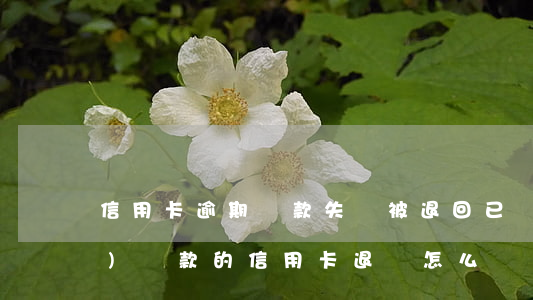 信用卡逾期還款失敗被退回(已經(jīng)還款的信用卡退貨怎么辦)