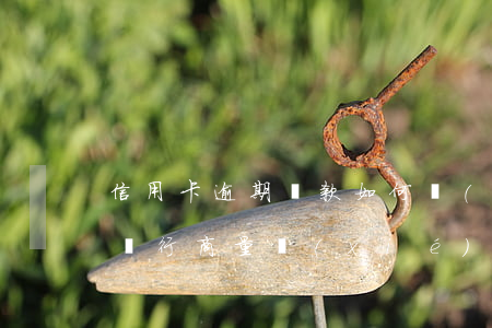 信用卡逾期還款如何協(xié)商(怎么與銀行商量協(xié)商信用卡逾期還款事宜)