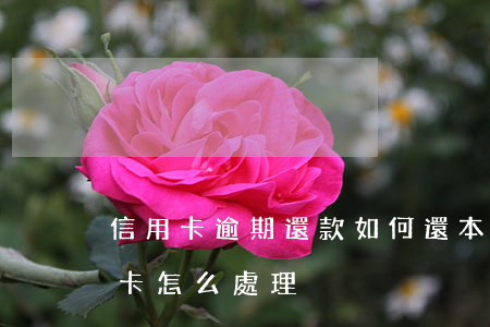 信用卡逾期還款如何還本金(逾期還清的信用卡怎么處理)