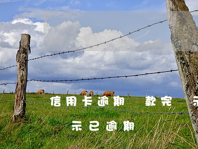 信用卡逾期還款完顯示已逾期-到期還款日顯示已逾期
