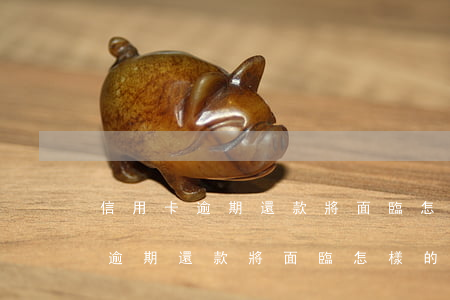 信用卡逾期還款將面臨怎樣的后果-信用卡逾期還款將面臨怎樣的后果和風(fēng)險(xiǎn)