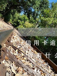 信用卡逾期還款將面臨的后果(還信用卡逾期會有什么后果)
