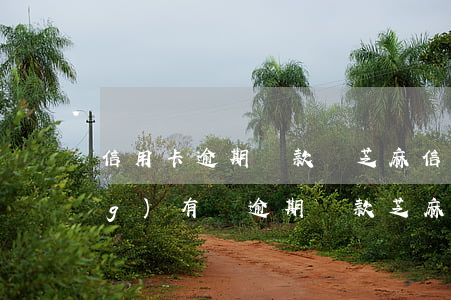 信用卡逾期還款對芝麻信用分 曾經(jīng)有過逾期還款芝麻分差 怎么提高