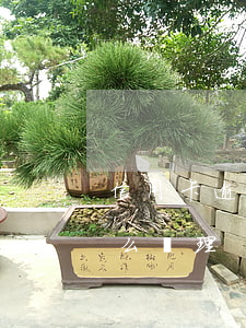 信用卡逾期還款小技巧 逾期還清的信用卡怎么處理