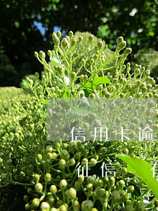 信用卡逾期還款就是黑名單(欠信用卡還完了征信還有黑名單嗎)