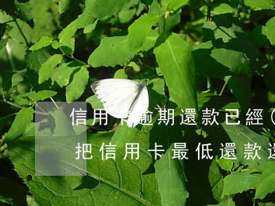 信用卡逾期還款已經(jīng)超過本金(把信用卡最低還款還了還算逾期嗎)