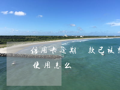 信用卡逾期還款已被禁用(信用卡逾期被停止使用怎么辦)