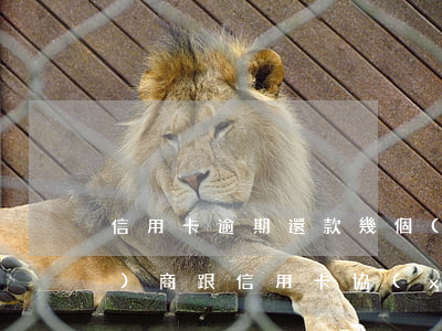 信用卡逾期還款幾個(gè)月協(xié)商 跟信用卡協(xié)商成功后又逾期了