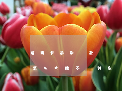 信用卡逾期還款幾塊錢怎么辦(還逾期信用卡怎么才能不還利息)