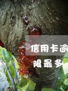 信用卡逾期還款幾年-信用卡逾期還款幾年限最多幾年