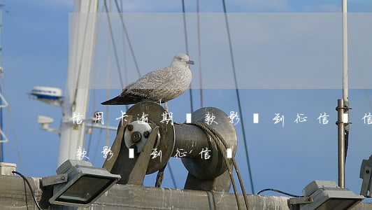 信用卡逾期還款影響到征信嗎(信用卡逾期還款影響到征信嗎)
