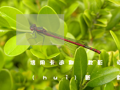 信用卡逾期還款影響征信,會(huì)不會(huì)影響貸款-信用卡逾期還款影響征信,會(huì)不會(huì)影響貸款記錄