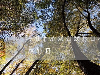 信用卡逾期還款影響有多大(信用卡 曾經有逾期 影響)