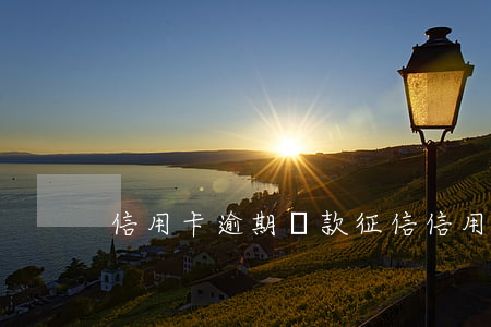 信用卡 逾期還款 征信（信用卡逾期補繳 征信）