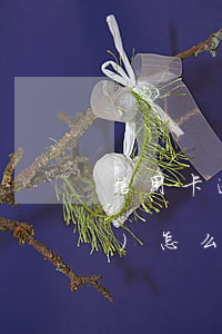 信用卡 逾期還款 征信（信用卡逾期過(guò)怎么恢復(fù)征信）