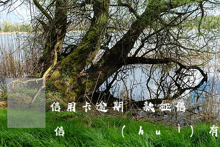 信用卡逾期還款征信記錄(信用卡逾期還款征信記錄會(huì)有什么影響)