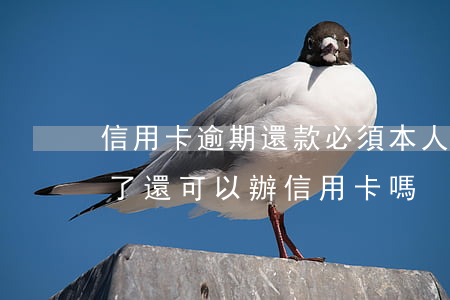信用卡逾期還款必須本人去嗎(有逾期但還清了還可以辦信用卡嗎)